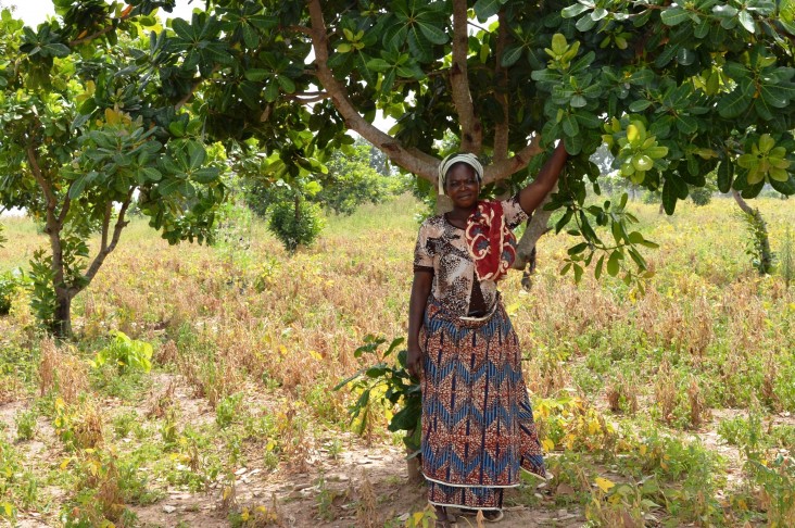 Showing off her cashew tree farm- a member of a smallholders cashew nut farmer cooperative supported by USAID