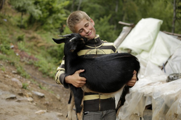 This boy’s family herds livestock in the summer in Livadhet e Gjarpërit, Valbona valley, Albania.