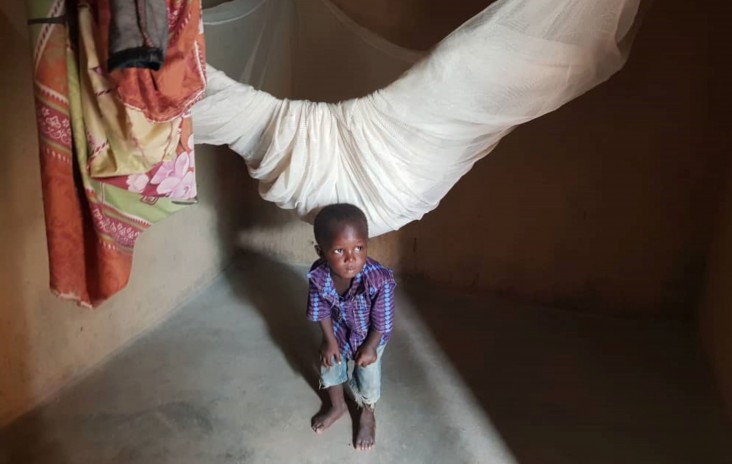 A child stands beneath his mosquito net in Burkina Faso