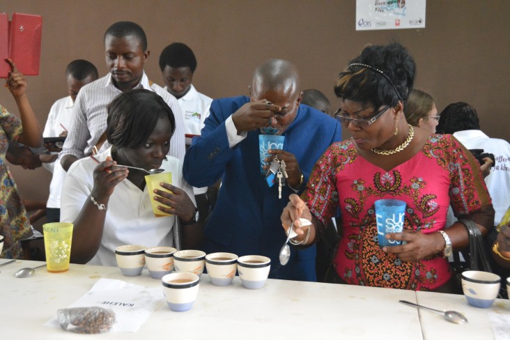 A USAID local trainee coaches on cupping