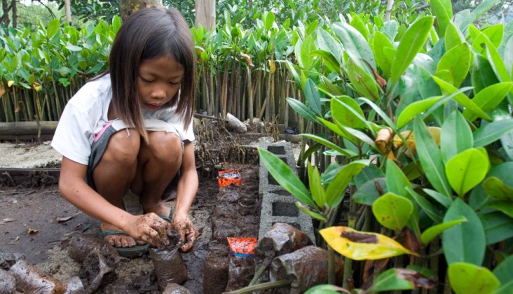 Girl planting mangroves in Indonesia