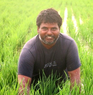 Ramawadh Chaudhary in his wheat field