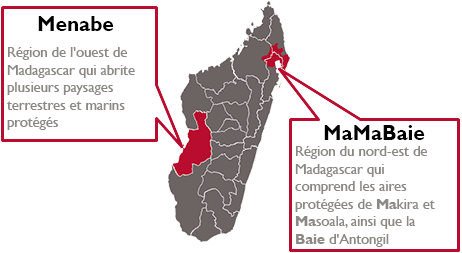 Carte de Madagascar montrant Menabe, la région de l'ouest de Madagascar qui abrite plusieurs projets de paysages terrestres et marins, et MaMaBaie, la région du nord-est qui comprend les aires protégées de Makira et de Masoala, et la Baie d'Antongil.