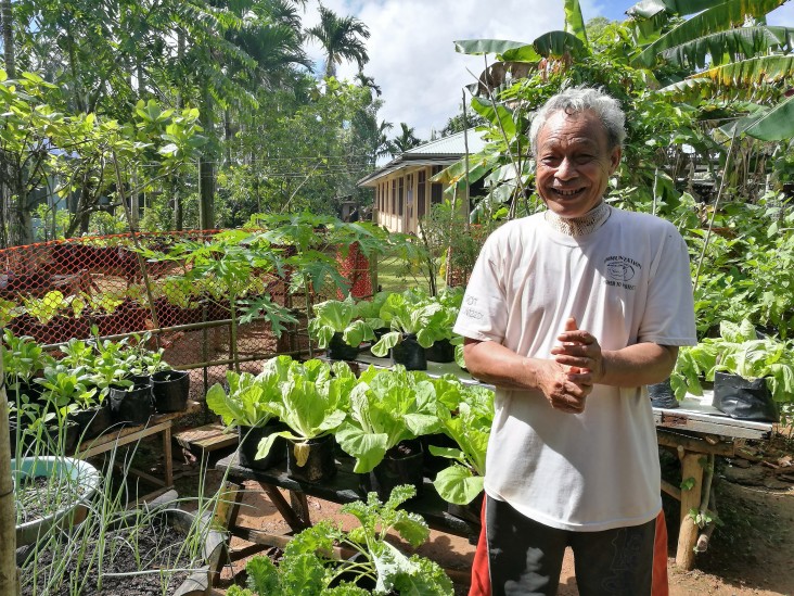 Community members in Micronesia’s Yap state plant diverse vegetables to buffer their gardens from crop failure.