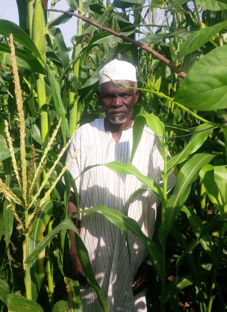 Garba Abdullahi, a farmer from the town of Fufore, says, “These seeds helped me start my life again.”