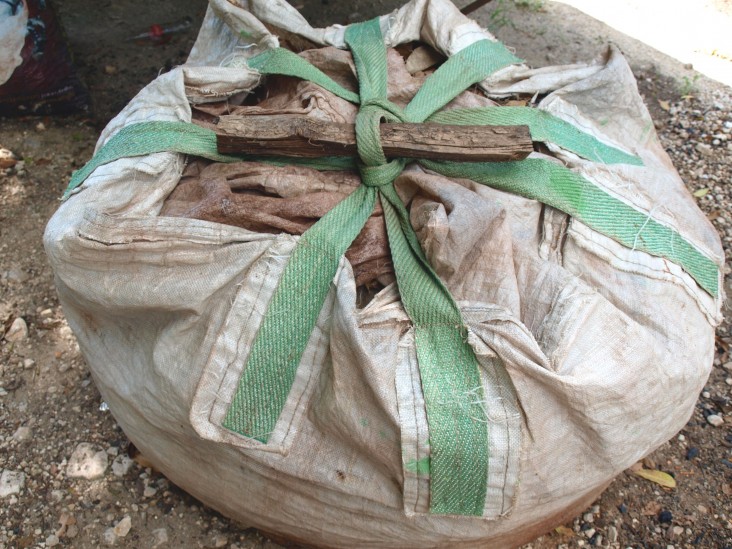 A bag of illegal lumber at the National Council for Protected Areas