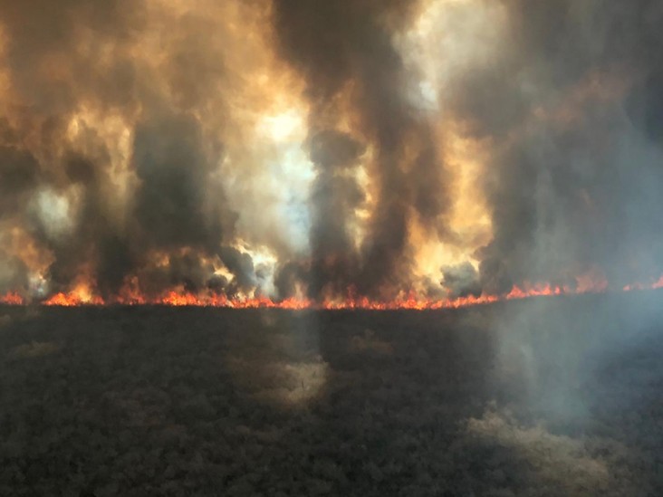 USAID sent a team to Paraguay to provide technical and other support to help fight ongoing fires. 