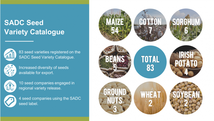 SADC Seed Variety Catalogue: total 83, maize 54, cotton 7, sorghum 6, beans 5,  irish potato 4, ground nuts 3, wheat 2, soybean 2. 83 seed varieties, increased diversity of seeds available for export, 10 seed companies engaged in regional variety release, 4 seed companies usinf the SADC seed label