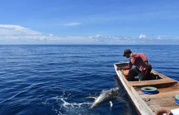 As part of USAID’s fair trade program training in Indonesia, fishers learn about endangered, threatened, and protected species, like sharks and turtles, and how to protect them while fishing.