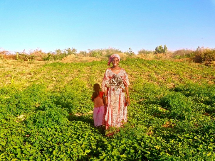 A Senegalese farmer stands in the middle of her sweet potato field