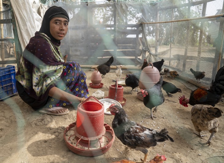 Tahmina Begum tends to her chicken in northern Bangladesh