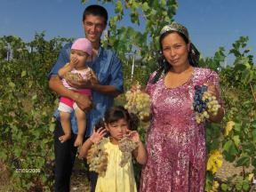 A family shows their best grape harvest in Namangan Province.
