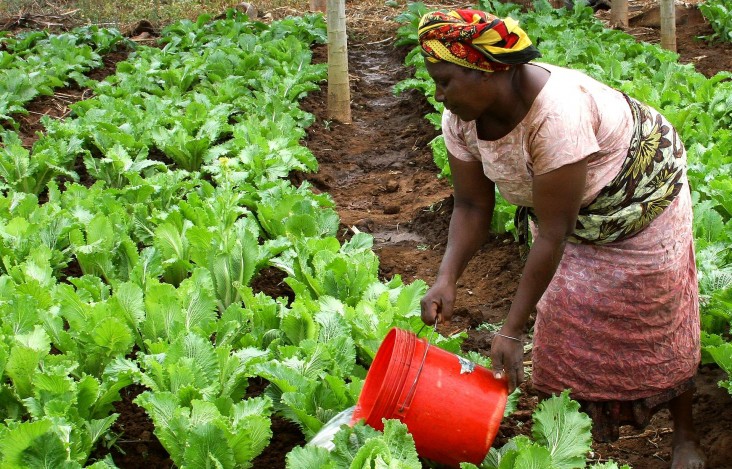 Tanzania is building food security and improving nutrition with USAID support