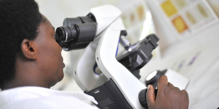 Photograph of a researcher looking through a microscope. Photo credit: Riccardo Gangale for USAID/Courtesy of Photoshare