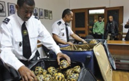 Enforcement officials in Madagascar inspect luggage