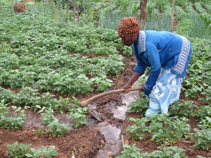 A woman in Malawi demonstrates how she uses irrigation techniques to water her crops