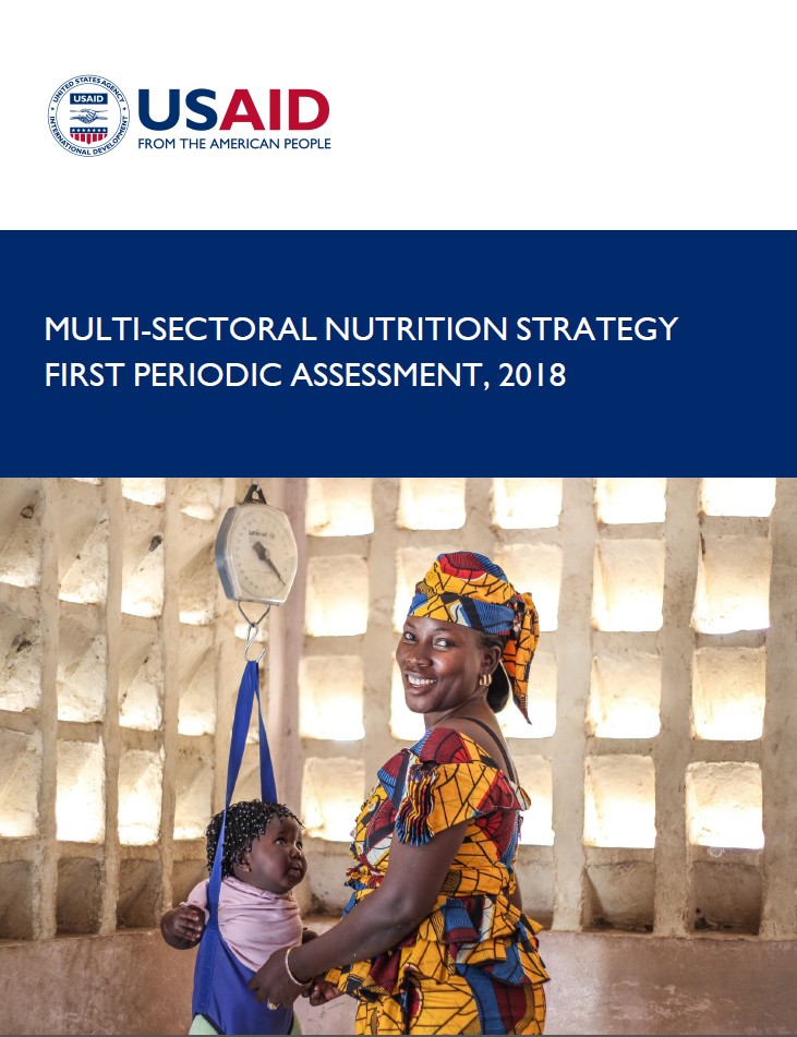 USAID Multi-sectoral Nutrition Strategy (2014-2025) cover image