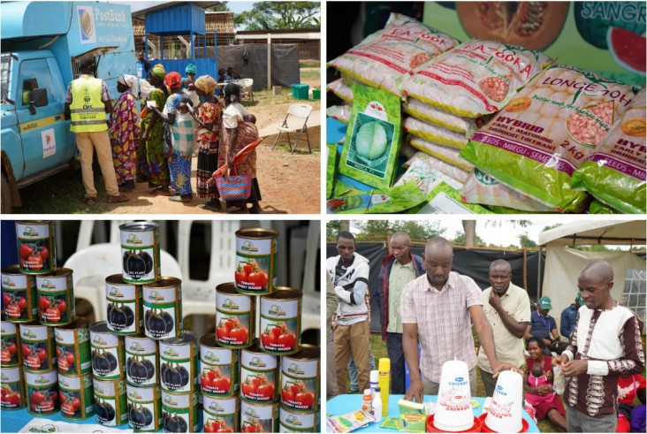 The road show showcased products from dozens of vendors and services. Clockwise from top left: Mobile banking draws a line of customers; seeds for planting; a chicken drinker salesman sets up his products; canned fruits make a tempting display. / Anna-Maija Mattila-Litvak, USAID