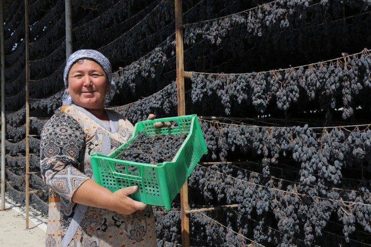 Since 2015, the USAID Agricultural Value Chain activity has worked with public and private sector partners to promote high-value-added commercial horticulture in Uzbekistan.