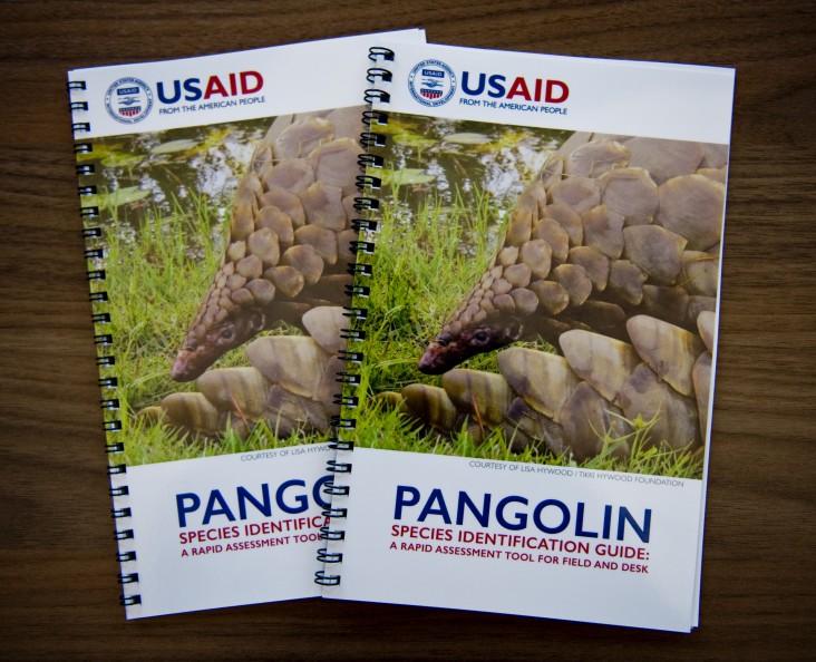 USAID Unveils Field Guide to Combat Pangolin Trafficking