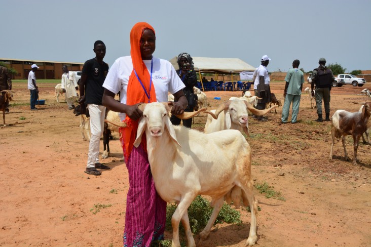 A Nigerien woman shows off a sheep she raised and sold