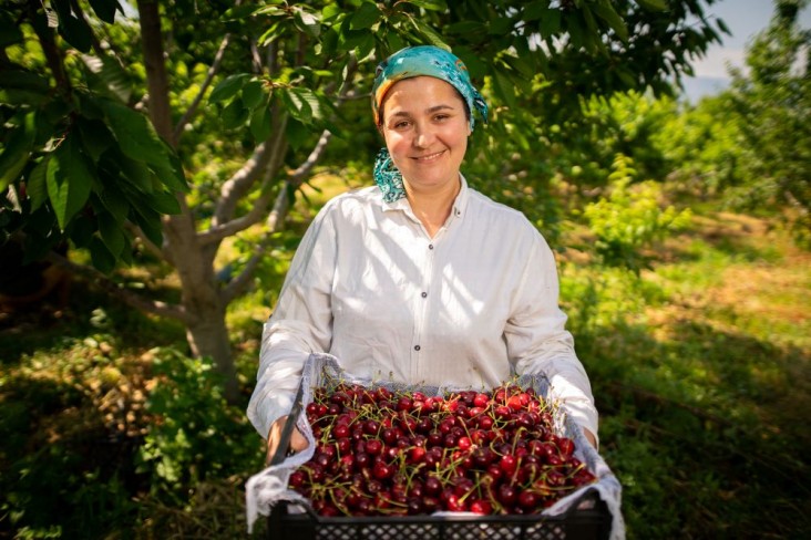 Справочник включает более 120 экспортеров плодоовощной продукции из Казахстана, Кыргызской Республики, Таджикистана, Туркменистана и Узбекистана. 