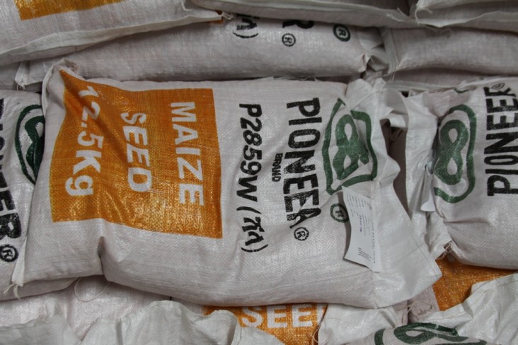 A bag of DuPont Pioneer maize seed ready for planting.