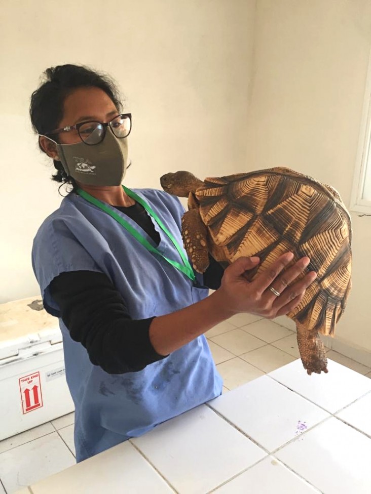 The Turtle Survival Alliance provides a vital service to the protection of Madagascar’s endemic tortoises