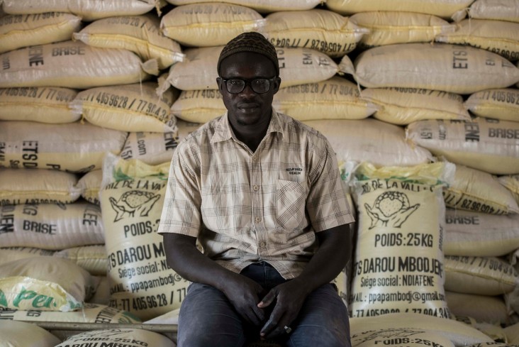 Abdou Mbodj, a rice producer of the Senegal river valley
