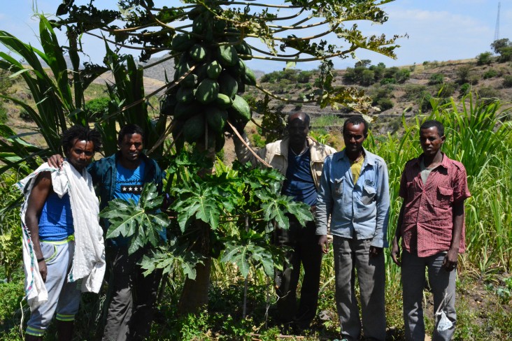 USAID beneficiaries stand in front of a mango tree and sugarcane plants.