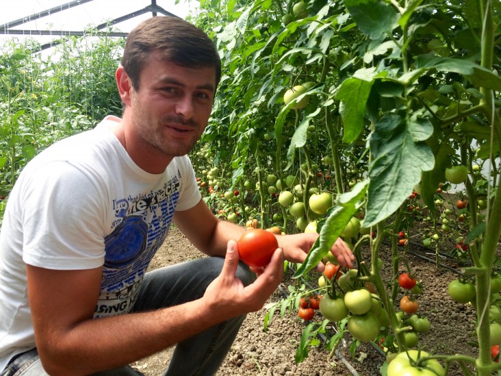 Giorgi Shavadze set up his first greenhouse in 2015 with USAID assistance.