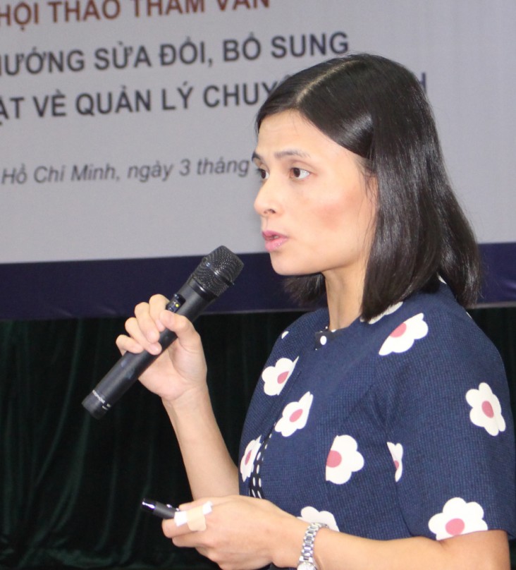 Mrs. Nguyen Minh Thao of MPI/CIEM addresses a consultative workshop.