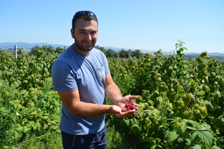 In Kosovo Farming is a bountiful business