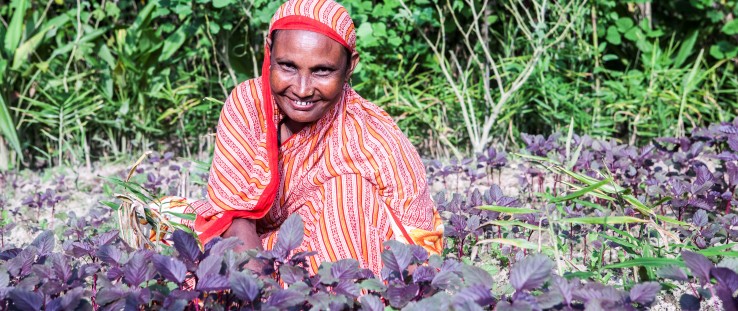 Shafia Begum works on her vegetable plantation near her home in Langurpar village, Sreemongol district.