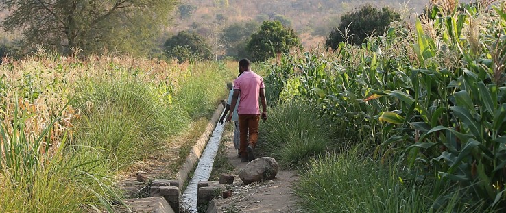 Njolo irrigation scheme in Dedza district, Malawi