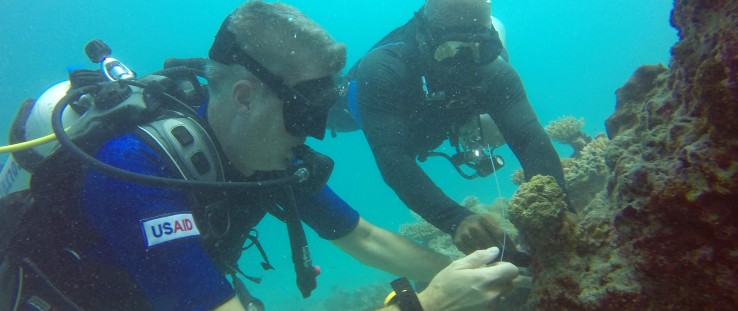Volunteer “citizen-scientists” in Maldives monitor marine biodiversity.
