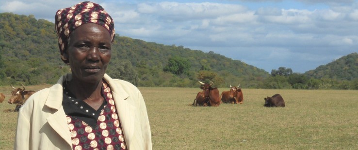 Lina Gudu purchased her cows with proceeds from a village savings and loan group.