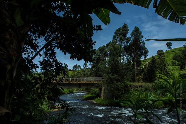 Virunga Power is building a hydro plant to power this valley of Kenyan farmers
