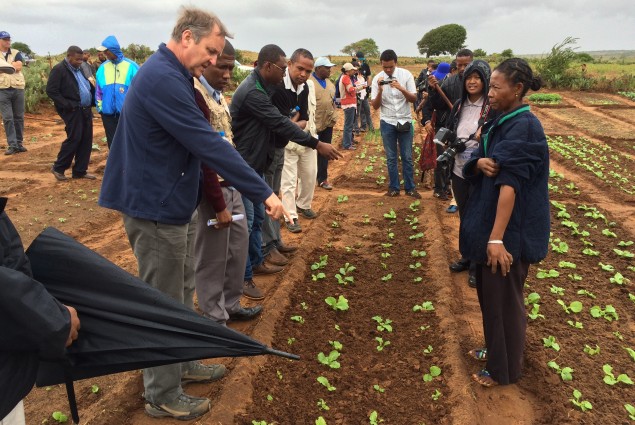Ambassador Lane is shown a horticulture project run by the FAO