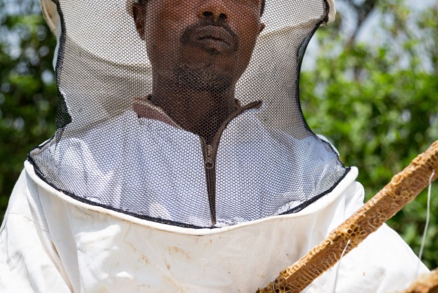 Practical training proves transformational. Abebaw Melesew used the training he received from USAID to turn around his beekeeping business. He is now a model farmer, training others to succeed in honey production.