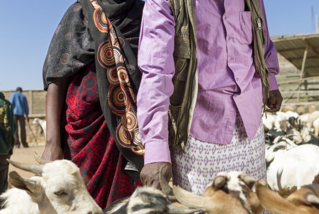 Livestock Traders Sofia Mohamed and Abdi Gursum