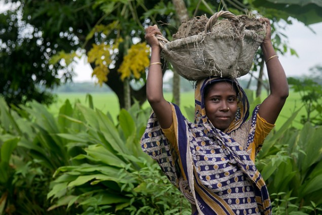 Rahim Begum carries a basket of mud back to her home she is rebuilding in Bangladesh after two cyclones in 2007 and 2009.