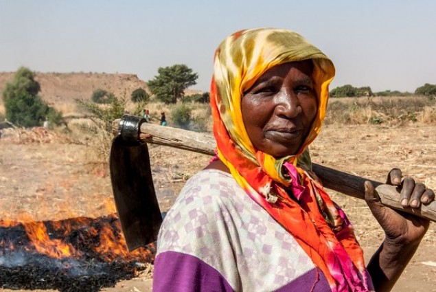 In Sudan, ongoing violence, poor harvests, and record-high food prices have left millions of people facing food shortages. 