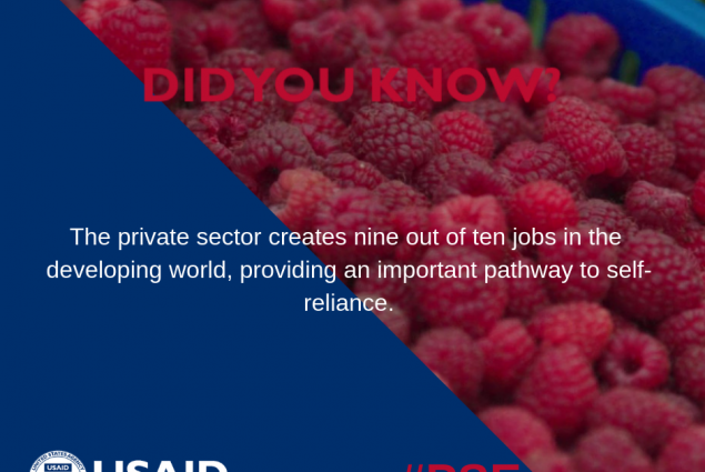 Did you know that the private sector creates nine out of ten jobs in the developing world, providing an important pathway to self-reliance? 