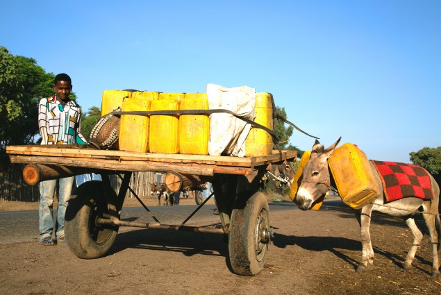 People living in the rural hinterlands travel to the cities in search of water. The trip can take several hours in both directions, which takes up the better part of a day. Those who have donkey carts fill up whatever containers they can and as many as they can afford.