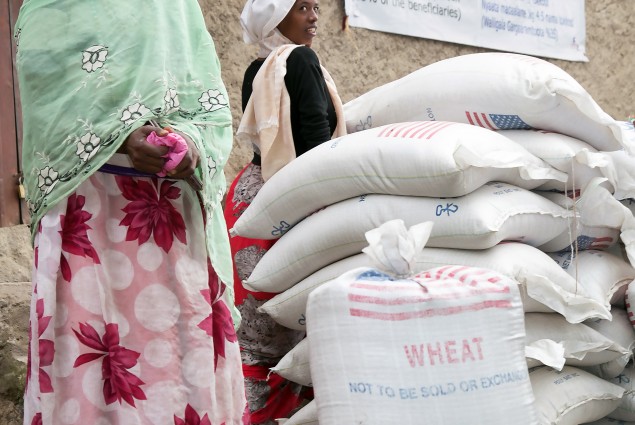 CRS is providing emergency food assistance provided by the American people to some of the most vulnerable Ethiopians, as the lead agency in the USAID-funded Joint Emergency Operation. In Aje, families gather to take home rations of wheat and split yellow peas under the program, implemented by a number of national and international partners working under CRS' management.