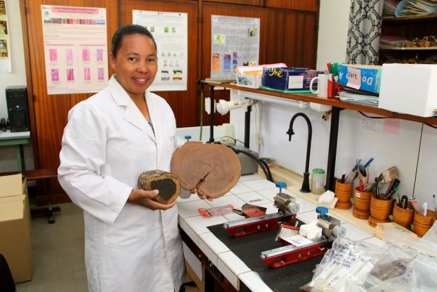 Dr. Ravaomanalina's PEER-funded project is building Madagascar's first reference library of precious woods species.