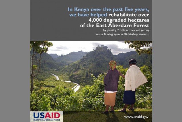 In Kenya over the past five years, we have helped rehabilitate over 4,000 degraded hectares of the East Aberdare Forest by plant