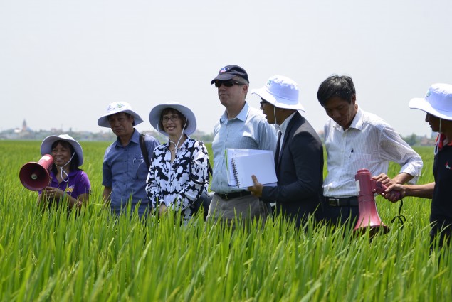 Ambassador Osius and Assistant Secretary Garber visit a climate-smart rice field supported by USAID's Vietnam Forests and Deltas
