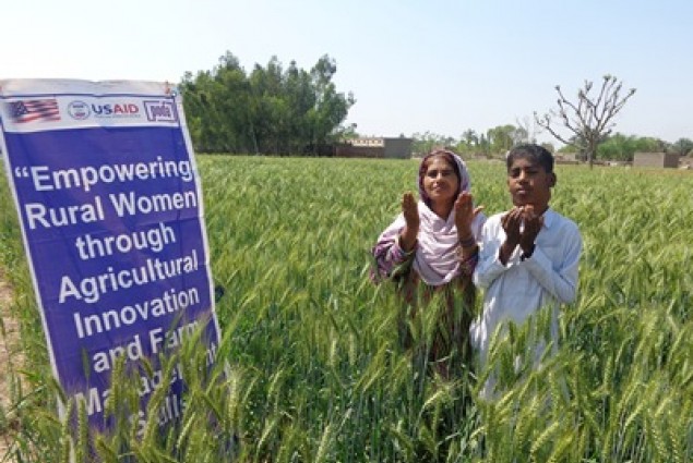 Manzoor Mai with her son at her wheat field.